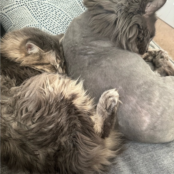 Home from hospital - Picture 9 of 12